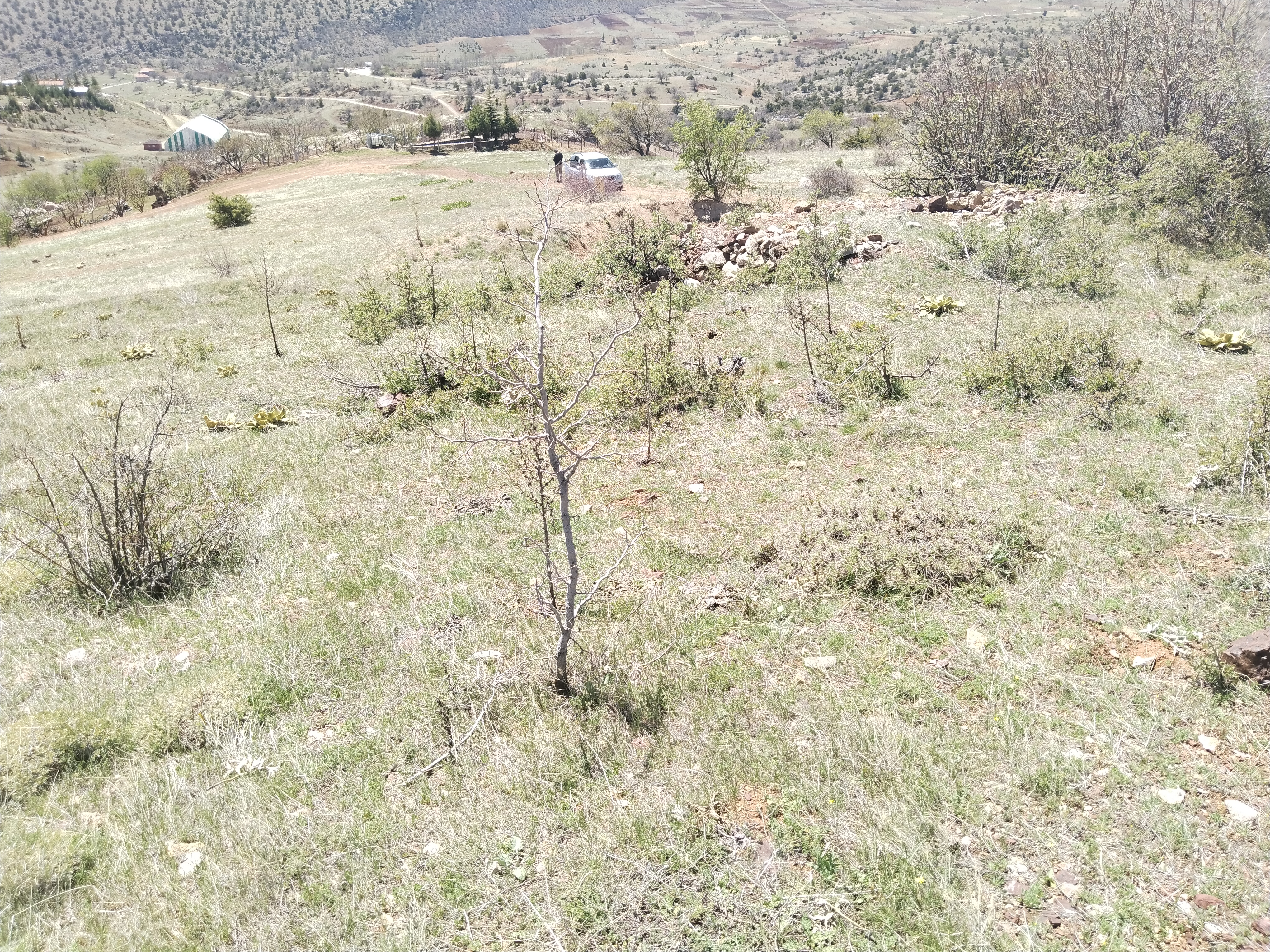KONYA HADİM YUKARIEŞENLER KÖYÜ'NDE 653 M² TARLAMIZ SATILIKTIR - KONYA HADİM fotoğraf 9